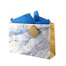 Birch & Co. Gift Bags - Paper Bags For Return Gifts - Large Carry Bags For Gifting - Large Paper Bags -Goodie Bags With Tissue And Thank You Card - Gift Covers - Pack Of 5, Marble, Blue