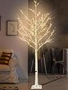 6FT Lighted Birch Tree with 160 LEDs Warm White Lights, 8 Flash Modes Faux Tree for Indoor Outdoor Summer Christmas Holiday Party Decoration