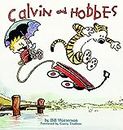 Calvin and Hobbes: 1