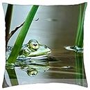 A Green froggy for my friend DI. GREENFROGGY 1 - Throw Pillow Cover Case (18