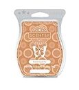 Scentsy Bar Baked Apple Pie Wickless Candle Tart Warmer Wax 3.2 fl. oz. 8 squares