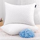 Queen Size Pillows 2 Pack, Shredded Memory Foam Bed Pillows for Sleeping Set of 2, Adjustable Loft Bed Pillows with Washable Hypoallergenic Cover for Back and Side Sleeper，White