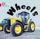 Wheels: This non-fiction picture book takes a look at all sorts of wheels.