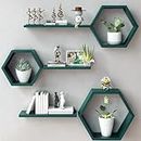 The Menifest | Woden Hexagonal Shape Wall Hanging Rack Shelf Wall Shelf for Living Room Bedroom and Office Decoration (Turqoise Green)