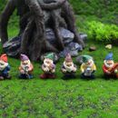 Mini Resin Dwarf Ornaments Landscape Decoration Crafts Home & Garden Accessories