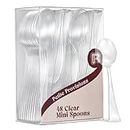 Clear Small Spoons - 48 Pack - 4 Inch Clear Mini Spoons - Heavy duty Clear Mini Spoons For Dessert, Ice Cream, Tastings, Cocktails, BPA Free Clear Dessert Spoons