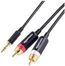 Amazon Basics 3.5mm to 2-Male RCA Adapter Audio Stereo Cable - 8 Feet, Black