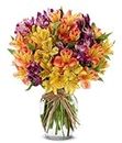 Renaissance Flowers - Same Day Sympathy Flowers Delivery - Get Well Soon Flowers - Get Well Bouquet - Sympathy Flowers - Get Well Soon Presents