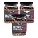 Ferris Coffee & Nut Co. Cherries Berries and Nuts with Roasted and Salted Nuts, 16 oz jar (3-pack) Healthy Snacking, Trail Mix