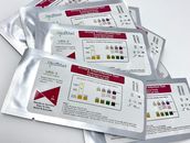 4 x Home Urine Urinary Tract Infection Tests (UTI, Nitrite, Leukocytes and Bloo