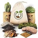 Succulent Cactus Seed DIY Terrarium Germination Starter Kit for Indoor Garden Growing - Mini Terrarium Kit with Seeds, Soil, Rocks, Artificial Moss, Pea Gravel, Activated Charcoal, & Burlap Pots