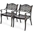 Tangkula 2 Pieces Outdoor Dining Chairs, All-Weather Cast Aluminum Chairs with Armrests and Curved Seats, Patio Arm Chairs for Garden, Poolside, Backyard