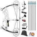 Archery Hunting Compound Bow Dual-Purpose Bow Catapult Steel Ball Bow 35-70lbs Adjustable Compound Bows for Adult Left Hand and Right Hand Outdoor Hunting Fishing Slingshot (Silver Set 2)
