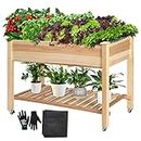 VIVOSUN Elevated Wooden Raised Garden Bed, 46 x 24 x 32 Inches, Mobile Outdoor Planter Box with Storage Shelf and Protective Liner for Outdoor Use, with Lockable Wheels
