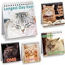 Funny Desk Signs for Kitten Lovers 30 Different Fun and Flip-Over Messages for Office Gifts Desk Accessories
