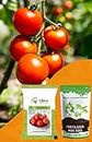 Red Tomato Seeds Hybrid | Home | Garden | Farming | Vegetable | Kitchen | Planting | Terrace | Balcony | Eating | Solanum Lycopersicum | Tameta | Tamatar | Desi - 0.05 Gram : 163 Seed