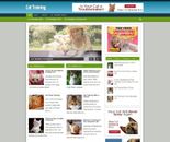 CAT TRAINING TIPS AFFILIATE WEBSITE- BANNERS - EASY TO RUN HOME BUSINESS