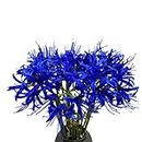 XIZHI 5 Stems Artificial Spider Lily Flowers 23.6 Inches Lycoris Bulbs Spider Lilies Artificial Flowers with Long Stem Real Touch for Photography Hotel Garden Decoration (Blue)