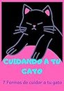 CUIDANDO A TU GATO: 7 FORMAS DE CUIDAR A TU GATO (Spanish Edition)