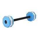 22.4 Inch Aquatic Dumbbells, Aquatic Exercise Dumbbells Swim Barbell for Bar Float Heavy Resistance Aquatic Dumbbell Pool Barbells for Men Women Kids Weight Loss Water Sports Fitness Tool(Blue)