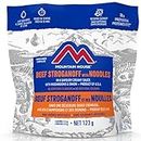 Mountain House Beef Stroganoff Pouch| Freeze Dried Backpacking & Camping Food | Survival & Emergency Food | Entree Meal | Easy to Prepare | Delicious and Nutritious | Single Pouch