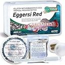 GREEN WATER FARM Killifish Eggs Nothobranchius [Eggersi Red] - Tropical Freshwater Fish Eggs for Hatching, Packed with Food, Dropper, and Indian Almond Leaves, Suitable for Education and as a Hobby