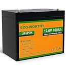 ECO-WORTHY 100Ah 12.8V LiFePO4 Battery Emergency Power Backup Rechargeable Lithium Iron Phosphate with 3000+ Deep Cycles and BMS Protection, Perfect for rv, Boat, Marine, Solar Panel System