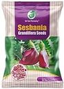 SRI SAI FORESTRY - Sesbania Grandiflora Seeds (100 G) - Agathi - Gaach Munga - August Tree - Humming Bird Tree Seed - Agase Seed for Cultivation