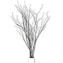 Pursuestar 5Pcs 29.5" Lifelike Dry Willow Branches Bendable Iron Wires Artificial Floral Flower Stub Stem DIY Craft Wedding Home Room Office Hotel Hall Decoration