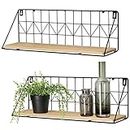Mkouo Wall Mounted Floating Shelves Set of 2 Rustic Metal Wire Storage Shelves Display Racks Home Decor, Large