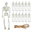 MEMOFYND 12 Pieces Skull Decoration with 5m Twine, Halloween Skull, Plastic Skeleton, Realistic Skull Statue, Movable Joints, Skull Decoration Toys, Suitable for Halloween Cemetery Decoration (Beige)