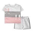 ARIEL Baby Boys & Baby girls Cotton Printed Round Neck Half Sleeve T-shirt & Short Trendy Summer Clothing Sets(AR-BHALFSS-912-3panel-mouse_Multicolor_9 Months - 12 Months)