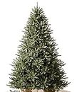 Balsam Hill Classic Blue Spruce Artificial Christmas Tree, 6 Feet, Unlit