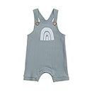 Toddler Baby Girl Cute Summer Clothing Outfit Sunflower Print Overalls Shorts with Pocket Suspender Pants (Rainbow-Blue Grey, 6-12 Months)