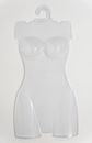 Clear Plastic Female Torso Body Dress Mannequin Forms (Set of 5)