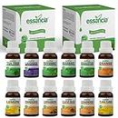 Essancia Set of 12 Essential Oils for Candle Making (Tea Tree, Lavender, Peppermint, Rosemary & Other 8 Oils) 100% Natural, Undiluted & Pure Essential Oils Kit for Homemade Aromatherapy Candle Making