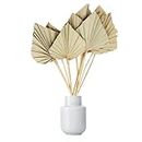 Dried Palm Leaves Spear with Stem for Decoration | 10 Pcs Set | Boho Flowers Decor | 15-18 Inch | Palm Fan Leaf with Stem | Dry Flowers Home Decor, Weeding, Party (Natural Brown)