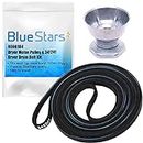 Ultra Durable 8066184 Dryer Motor Pulley & 341241 Dryer Drum Belt Kit by Blue Stars - Exact Fit for Whirlpool Maytag Kenmore Dryers