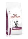 Royal Canin Veterinary Renal Select | 400 g | Alimento dietetico completo per gatti | Può aiutare a sostenere la funzione renale nell'insufficienza renale cronica