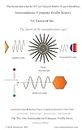 Semiconductor Company Profiles : NS Nanotech Inc: The Dawn of the Nano Photonics Age (The Semiconductor & IP Core Subject Matter Expert Database) (English Edition)