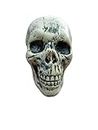 BookMyCostume Small Skull Toy Halloween Ghost Showpiece Decoration Kids Adults Fancy Dress Costume Accessory Free Size White