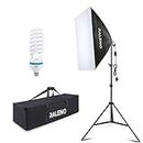 RALENO Softbox Photography Lighting, Soft light for Studio, Portrait Photography and YouTube Video, Soft Box with Adjustable Lamp Stand and Portable Bag