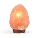 EMITTO 1-2 kg Himalayan Salt Lamp Rock Crystal Natural Light Dimmer Switch Cord Globes