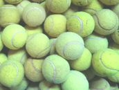 30 Used Tennis Balls For Dogs