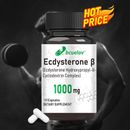 Suplemento de Ecdysterone - Anabólico Mejora la Fuerza y el Rendimiento, Crecimiento Muscular