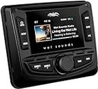 Wet Sounds | WS-MC-2 | AM/FM/Weather Band Tuner with RBDS and SiriusXM-Ready®