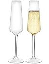 MICHLEY 7.5oz Unbreakable Stemmed Champagne Glasses Set of 2, 100% Tritan Plastic,Dishwasher Safe Indoor Outdoor Drink Glassware