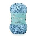 Soft N Strong, Certified Low Pill Yarn. Hand Knitting and Crochet Yarn. OEKOTEX Class 1 Certified. Pack of 2 Balls - 100gms Each. Shade no - SNS002