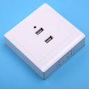Dual USB Wall Socket Charger Power Adapter Plug Outlet Plate Panel White