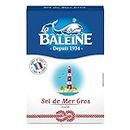 Carton Sel De Mer Gros 1Kg|La Baleine|(Lot De 4)|Best Deal